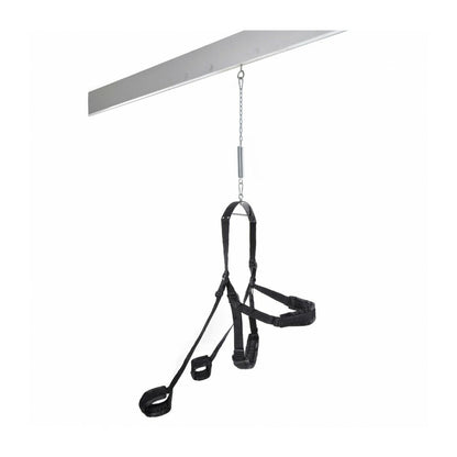 V5H016441662A7C055567E19560988A1482R5085105P3