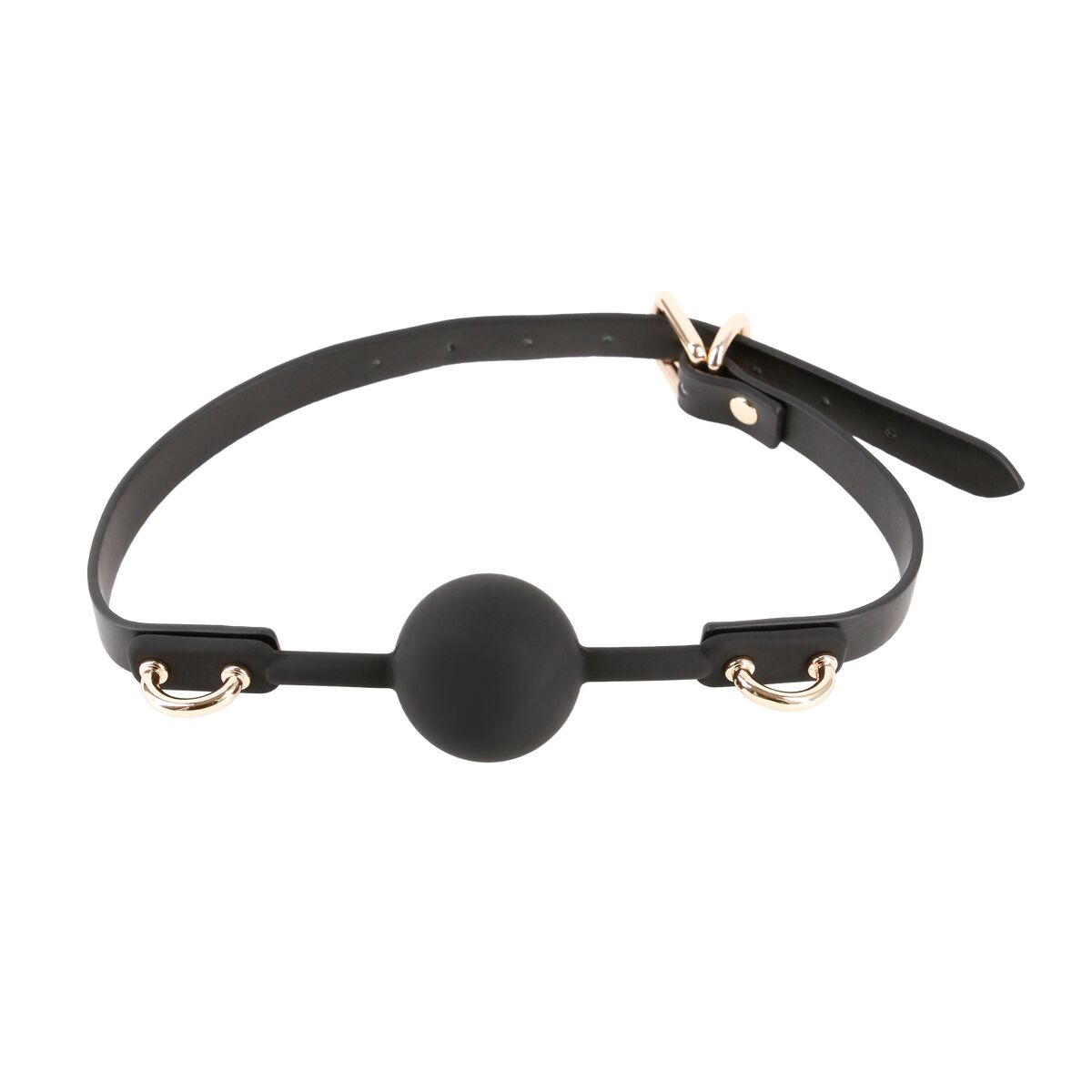 V5HFEC6E089AB757911896A341A4DB6BCD8R5116621P2