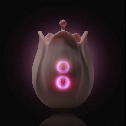 V3HA028E20E2EE1BFA89E0B193B262D38F8R5584141P8