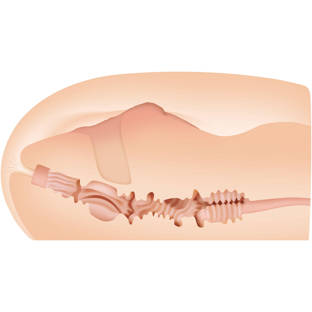 V4H4702F9DB2D700A319F06912E07599542R4903322P2