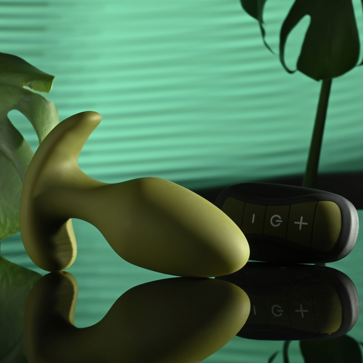 V5HF8E0EC5ADFCE7DA6EA3950C1E23B9BFDR4901168P5