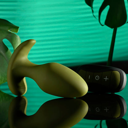 V5HF8E0EC5ADFCE7DA6EA3950C1E23B9BFDR4901168P5