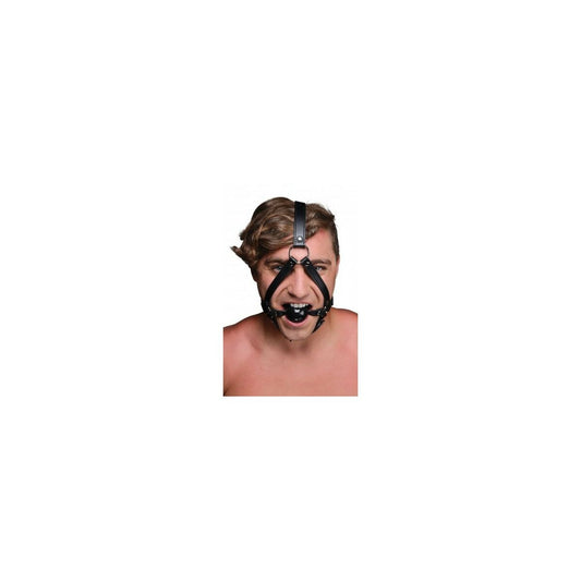 V5H3EAF752958112302DF9D388C117A3F10R4676634P1