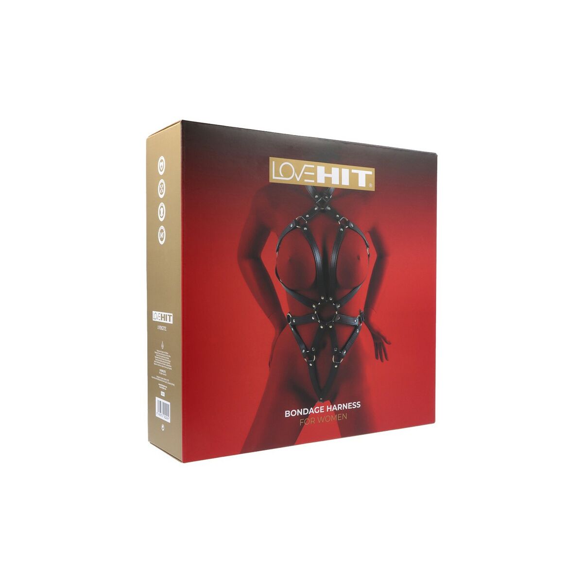 V3H28F93A609142626B1469A3E58218E927R5571514P5