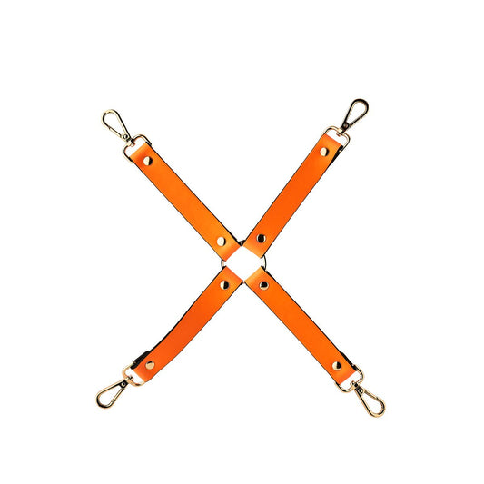 V5H47FCCCD41A200E909AE0BBAA35D72B1DR4916618P1