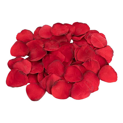 V3HD2FE7C686822162DCA35DC3055229E53R5547513P8